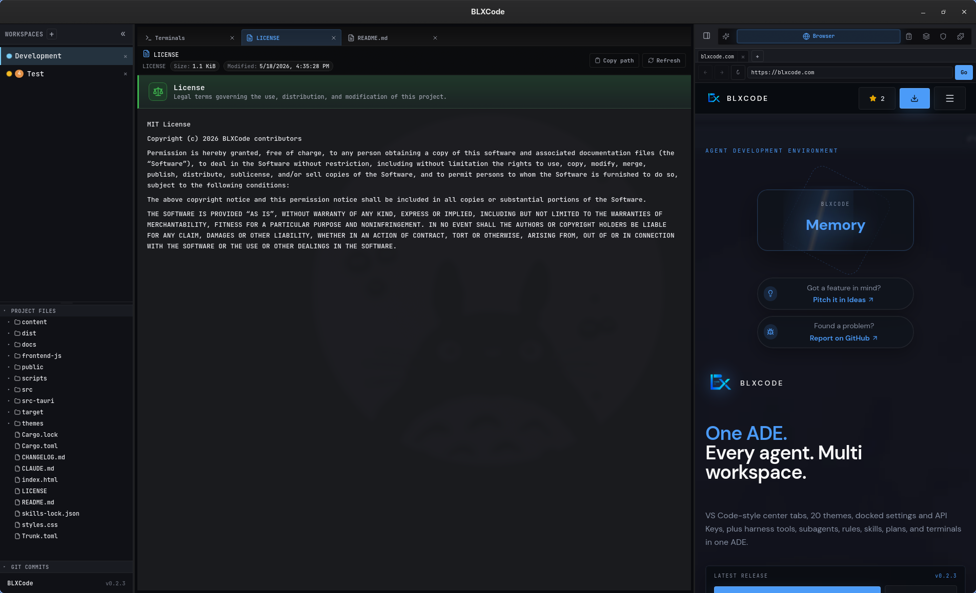 Workspace with multiple center tabs open: Terminals, LICENSE, and README.md